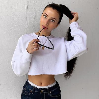 China OEM Logo Black Plain Hoodie Crew Neck Sexy Women's Breathable Pullover Crop Top Hoodie for sale