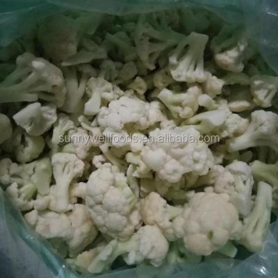 China FROZEN bulk frozen plastic cauliflower for sale for sale