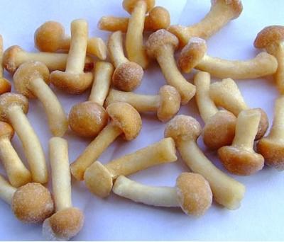 China Whole Healthy Frozen Nameko L Grade Mushroom From China Supplier for sale