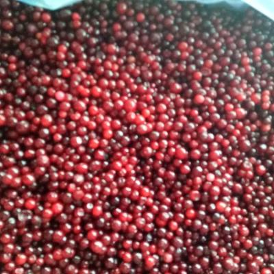 China Chinese fresh jelly style lingonberry JELLY for sale