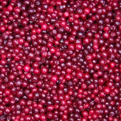 China FROZEN wholesale fresh IQF frozen lingonberry from sunnywell for sale