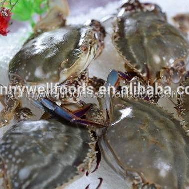 China FROZEN Frozen Blue Swimming Crab for sale