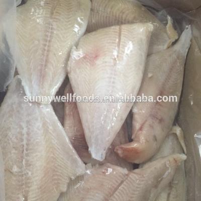 China FROZEN fresh frozen brama fillet skinless boneless Brama for sale