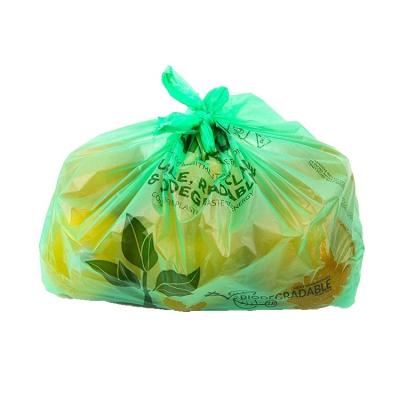 China BIODEGRADABLE Eco-Friendly Compostable Grocery Retail 100% Security T-shirt Bag Packaging Shopping Bag for sale