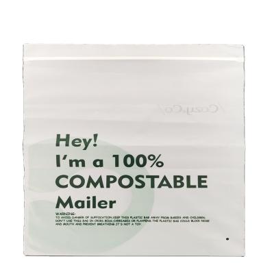 China BIODEGRADABLE Custom Logo Printing Slide Matte / Biodegradable Zipper Bag Frosted Packaging Bags For Clothes for sale