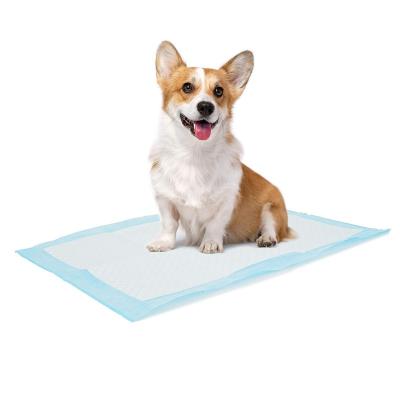 China Eco Friendly Quick Absorbent Stocked 60*60 Absorb All Potty Dog Pee Under Pad 100% Disposable Biodegradable Pet Pad for sale