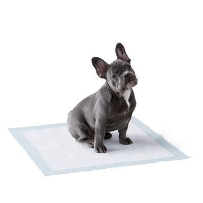 China Custom Biodegradable Stocked Pet Puppy Training Mat Clean Up 100% Biodegradable Disposable PLA Eco-Friendly for sale