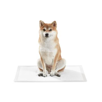 China Stored 100% Super Absorbent Dog Training Pad Eco Friendly Compostable Clean High Biodegradable Pet Pad for sale