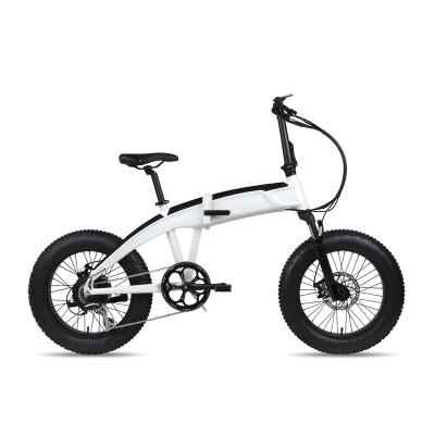 China Aluminum Alloy Aluminum Alloy Manufacturer Customized Long Body Strength Adult Electric Bicycle for sale