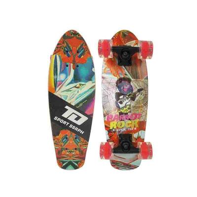 China 2020 Youth New Design Maple 23*8 Inch Drop by Freestyle Completed Longboard for Teens and Adults for sale