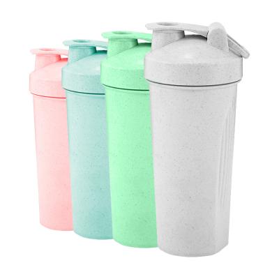 China Custom Viable Eco-Friendly Logo 600ml Doyoung Straw Plastic Sports Gym Cup Empty Protein Powder Shaker Bottle For Protein Shakes for sale