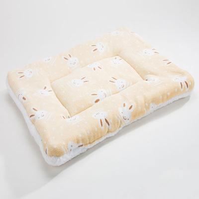 China Travel Amazon Hot Sale Cashmere Dog Theme Blanket Custom Printed Luxury Pet Bed Rug for sale