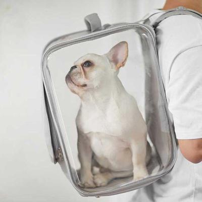 China Viable Hot Sale Airline Amazon Pet Travel Carrier Pet Approved Cat Backpack Dog Carrier Handbag for sale