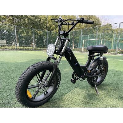 China Aluminum Alloy Electric Sports Bike For Fat Tire Adults City Electric Bike Electric Bike Motorcycle for sale