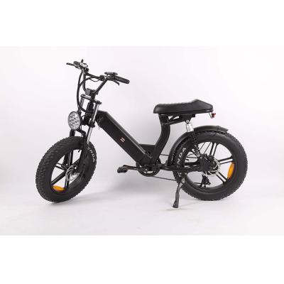 China Aluminum alloy fat tire electric mountain bike 20 inch city electric bike fat tire motorcycle city for sale