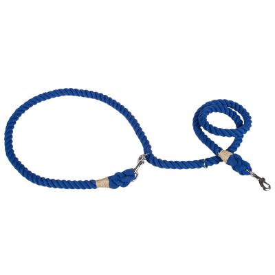 China Fashionable Pure Viable Rope Dog High Quality Colorful Leash for sale