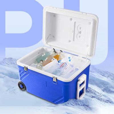 China Waterproof Blue Color Picnic Insulated Outdoor Camping Plastic Portable Cooler Box With Wheels for sale