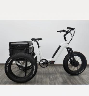 China Aluminum Alloy HOT NEW FOLDING ELECTRIC TRICYCLE for sale