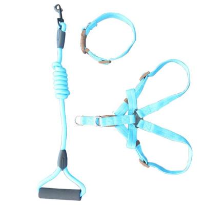 China China Manufacturer Promotional Silicone Slip Viable Dog Collar and Leash for sale