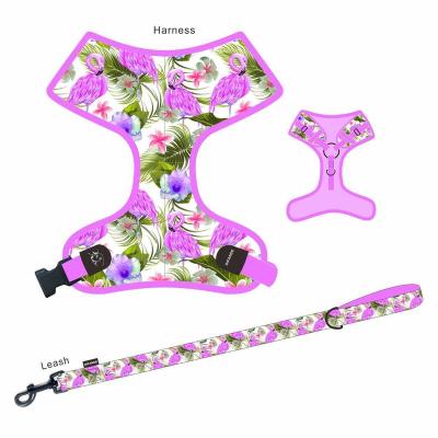 China Custom Set Printed Accessories Shaping Pet Supplies Cat Bow Tie Dog Collar 2021 for sale