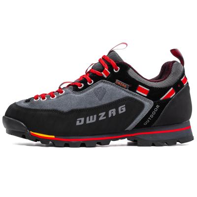 China Fashion trend top quality newcomers waterproof hiking shoes for outdoor men for sale