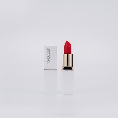 China 2021new OEM waterproof lipstick wholesales for sale