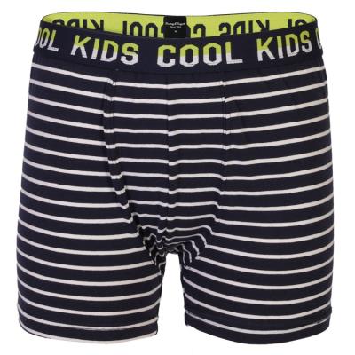 China Little Boys Cotton Breathable Boxer Print Pattern Stripe Breathable Organic Kids Underwear Teens for sale