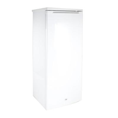 China COMPRESSOR 2021 the most popular home refrigerator single door household for sale