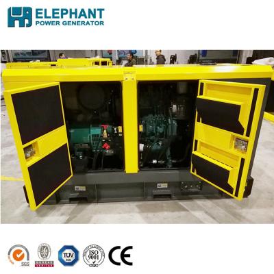 China China Motor 80KVA Weichai Free Power Generator BW80 for sale