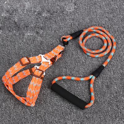 China Strap Cat Dog Nylon Chain Leash Retractable Lights Pet Product Leash Trunk for sale