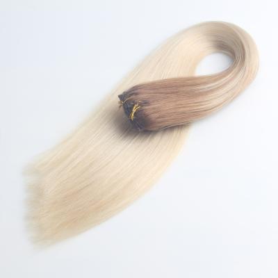 China Other Clip In Hair Extension 100% Real Hair for sale