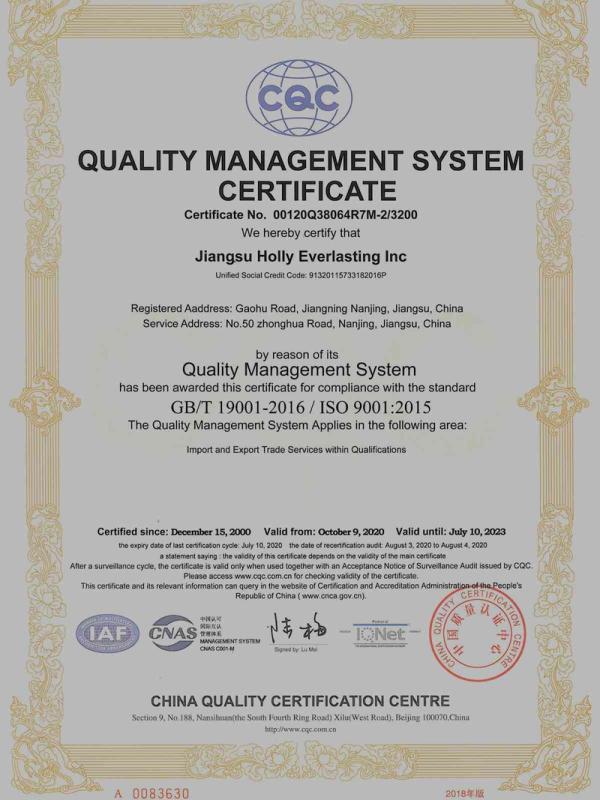 ISO9001 - Jiangsu Holly Everlasting Inc.