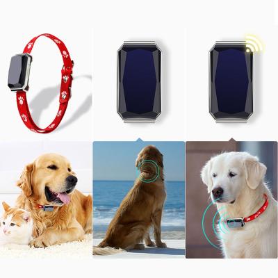 China GPS Real Time Tracking Smart Blue Tooth 4G 3G WIFI Tracking Device Dog GPS Tracker Collar Camera Wife Tracker for sale