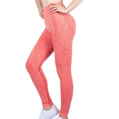 China Breathable Sexy Fitness Women's High Waist Yoga Leggings Mesh Butt Lift Seamless Gym for sale