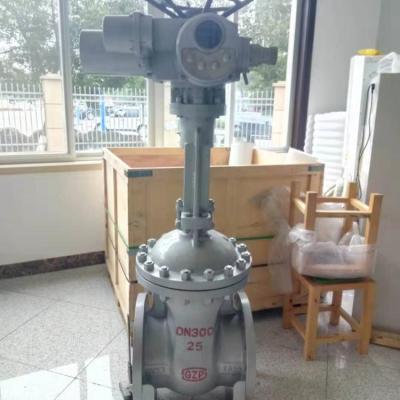 China General High Pressure Gate Valve, Flange End, RF, 900lb, 1500lb, 2500lb, DN300, Cast Steel Material, Hand Wheel for sale