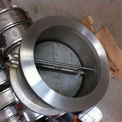 China General double plate, swing check valve, PN16, DN300, cf8, stainless steel spring. for sale