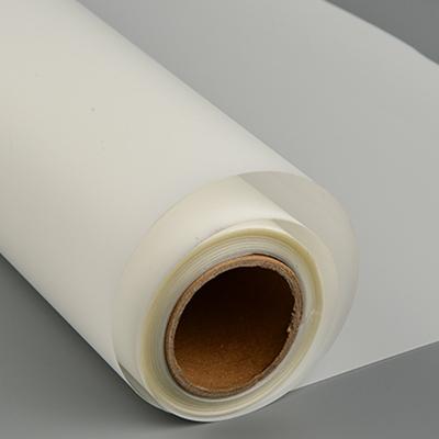 China Bright color glossy surface reverse printing backlit film (eco-solvent) for sale