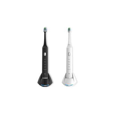 China High End Hotel New Listing Handheld Smart Sonic Electric Toothbrush Oral Cleaning for sale