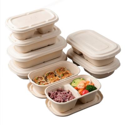 China Disposable Degradable Degradable Lunch Storage Boxes Container 300 pcs Salad Packing Sushi Box Light Weight Pulp and Bins Food Container for sale