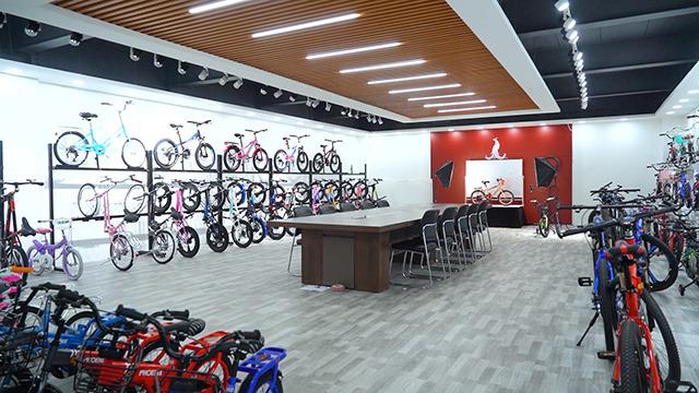 Fornecedor verificado da China - Hebei Qiguo Bicycle Co., Ltd.