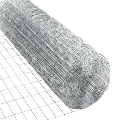 China Anti-Corrosion Galvanized Square Openings Welded Wire Mesh Fence Roll for Vegetable Garden Mesh or Rabbit Cages for sale