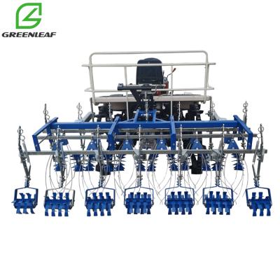 China Small FARM ORGANIC WEEDING 6 Rows Rice Farm Use Mini Harvester Bund Tractor Power Weeder Loom for sale