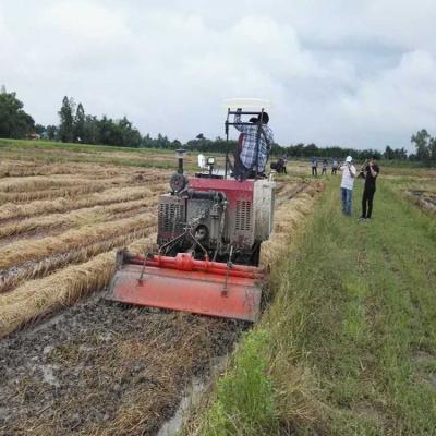 China High quality agricultural crawler tractors from farms. small crawler tractors caterpillar with best price for sale