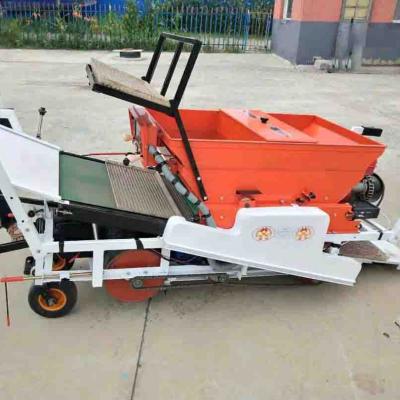 China Self-propelled vegetable seed planting machine 4 rows seedling transplanter planting machine for agricultural machine for sale