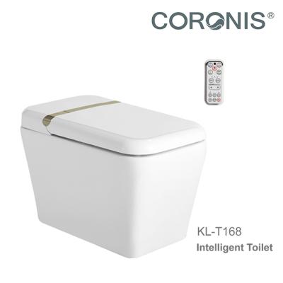 China Simple Automatic Operation Portable Luxury Fancy Night Light Smart Toilet Seat for sale