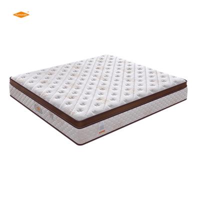 China Wholesale Brand New Foldable Design Pocket Spring Memory Sponge Rubber Queen Mattress Box Spring for sale