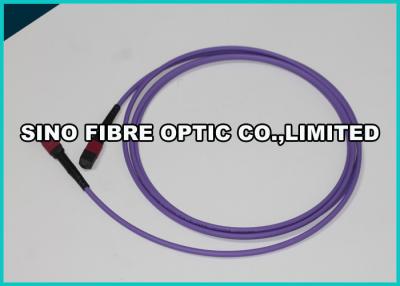 China 72F Violet MPO - MPO Fiber Optic Cable OM4 MT Ferrule 100Gig Data Transfer for sale