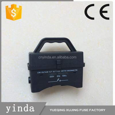 China LOW VOLTAGE Malaysia Fuse Switch Cut Out 100A for sale