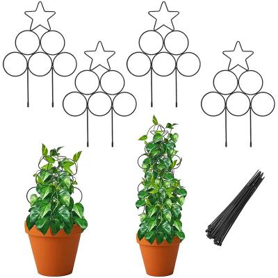 China 4 Pack Indoor Trellis For Climbing Plants - 13 Inch Indoor Small Stackable Plant Trellis For Potted Plants Rust Free Decorate Pl 25*35cm for sale