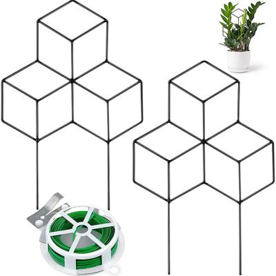 China Eco-friendly 2 Plant Tomato Cages Garden Metal Support Trellis Plant Support Metal Potted Climbing Bracket For DIY Mini Climbing Plant for sale